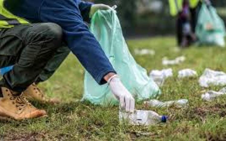 trash pickup